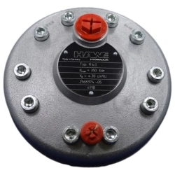 Bơm piston thủy lực hướng tâm áp suất cao Hawe